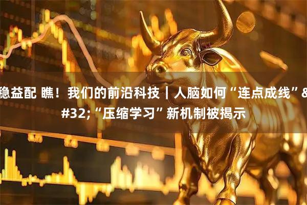 稳益配 瞧！我们的前沿科技｜人脑如何“连点成线” “压缩学习”新机制被揭示